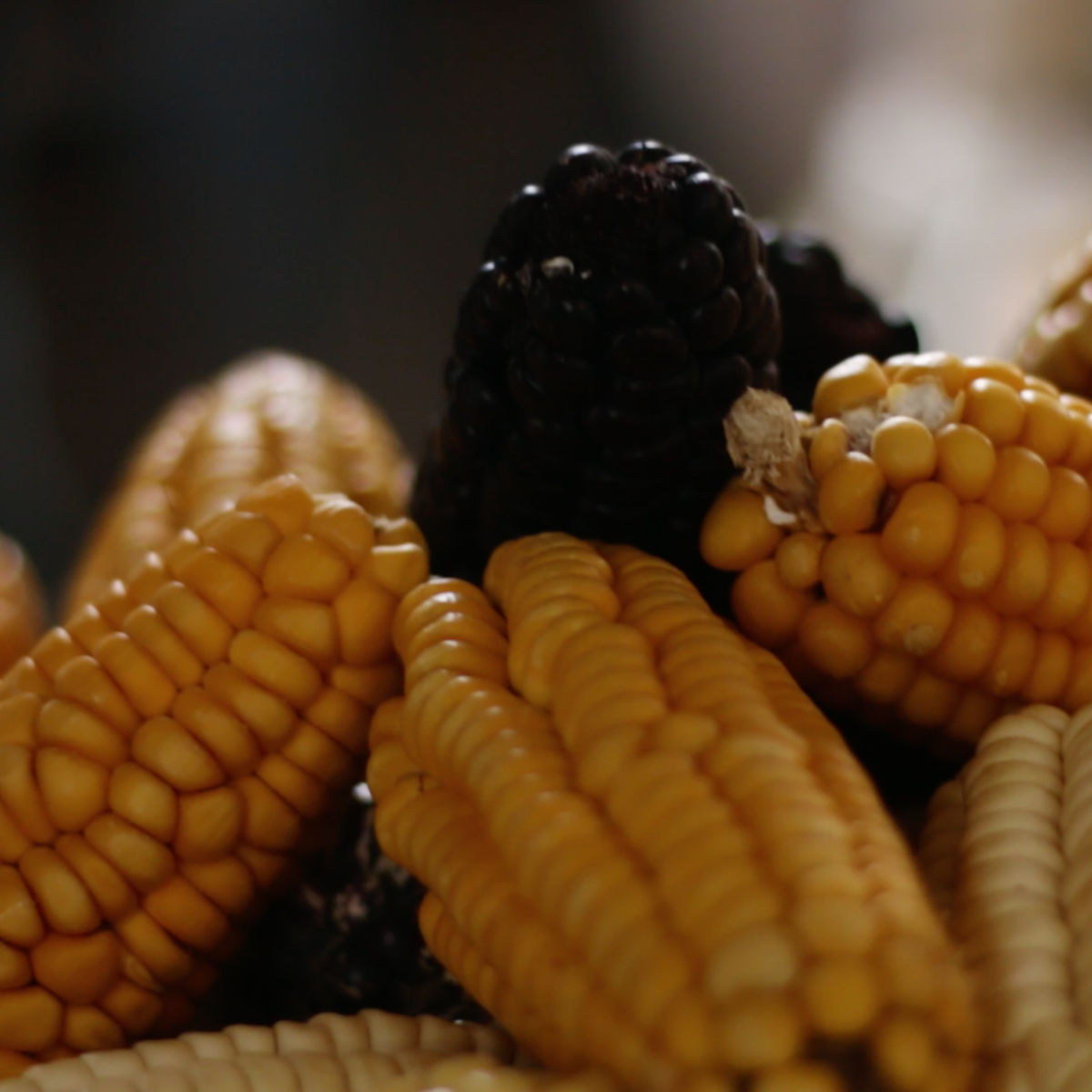 Gourmet Cooking Lessons in Cusco with Market Tour (Group Class)