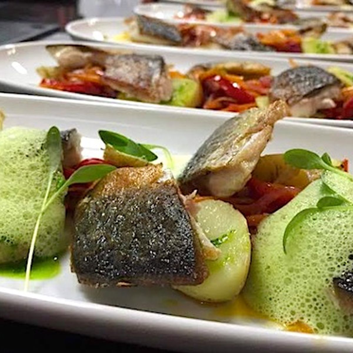Gourmet Portuguese Cooking Class with Olive Oil Tasting