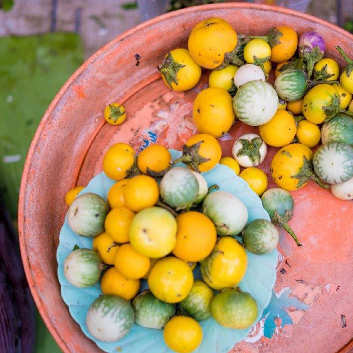 Spice Spoons |  A Thai Culinary Journey in Chiang Rai