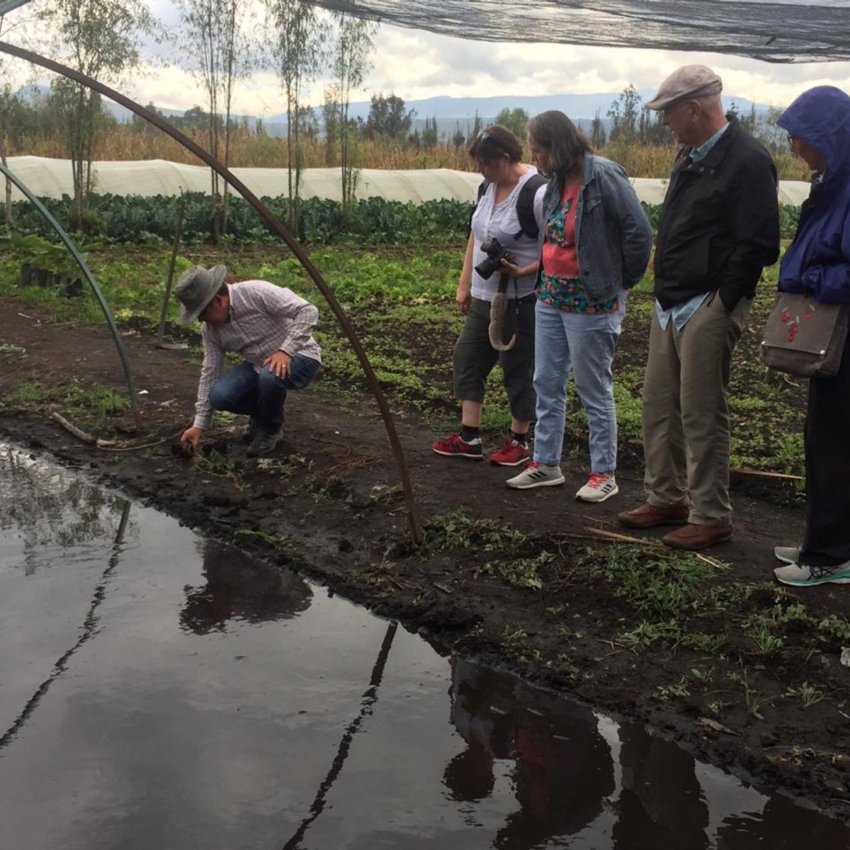 Learn about Chinampas with a Gastronomic Tour Along the Canals of Xochimilco (price for up to 9 people)