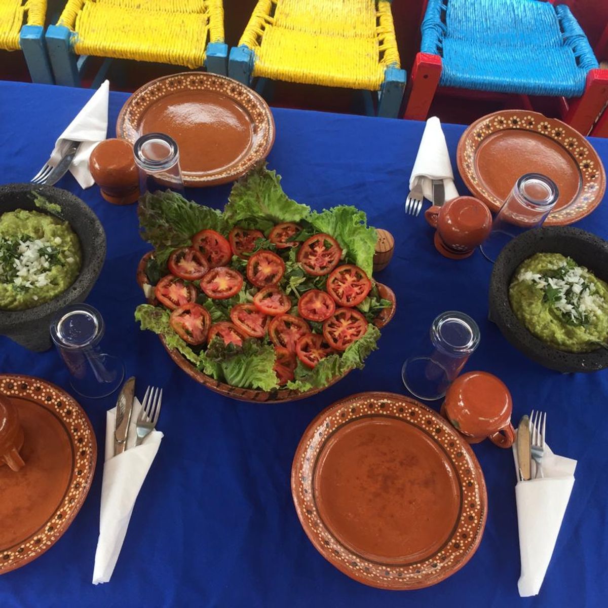Learn about Chinampas with a Gastronomic Tour Along the Canals of Xochimilco (price for up to 9 people)