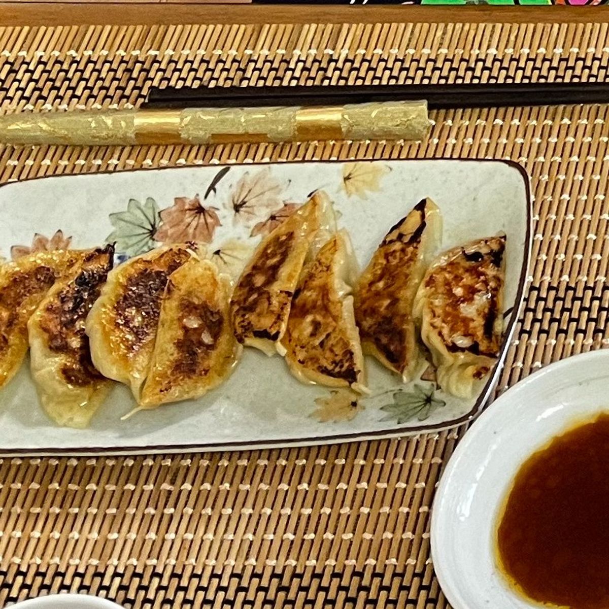 The Art of Making Homemade Japanese Gyoza Class in Nagoya