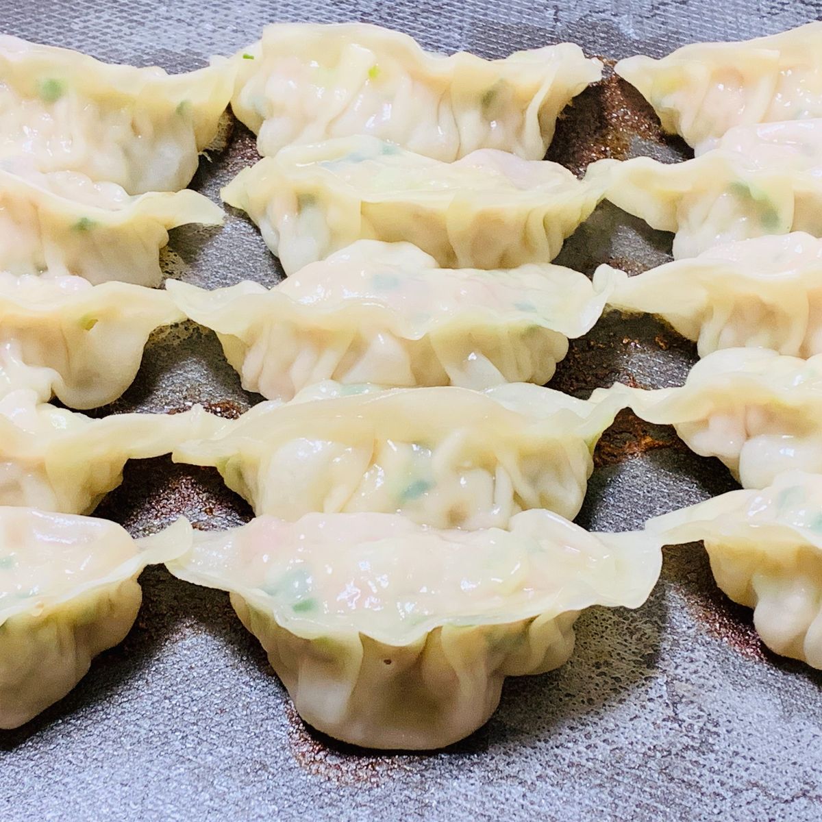 The Art of Making Homemade Japanese Gyoza Class in Nagoya