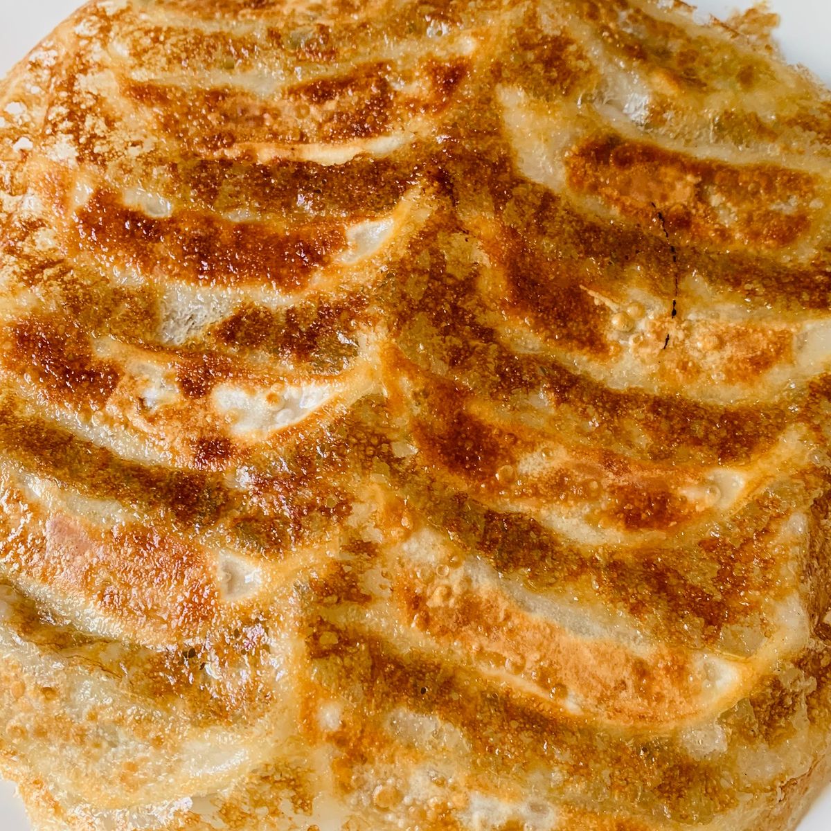 The Art of Making Homemade Japanese Gyoza Class in Nagoya