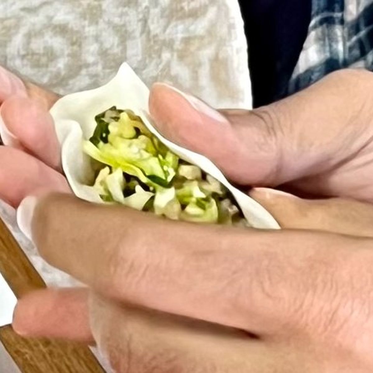 The Art of Making Homemade Japanese Gyoza Class in Nagoya
