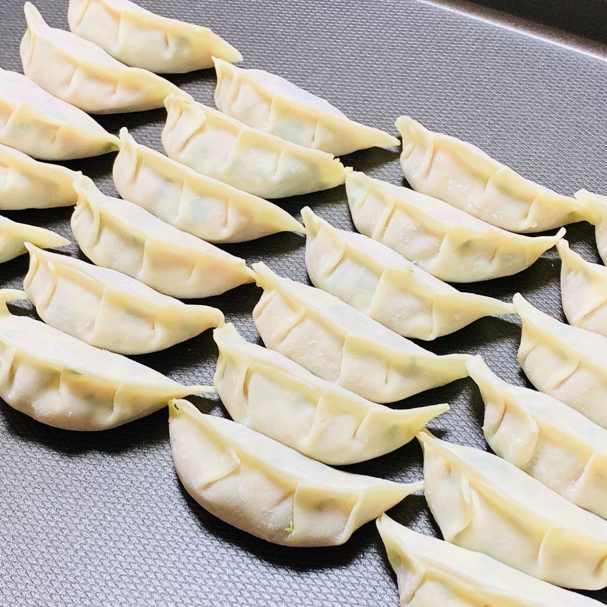 The Art of Making Homemade Japanese Gyoza Class in Nagoya