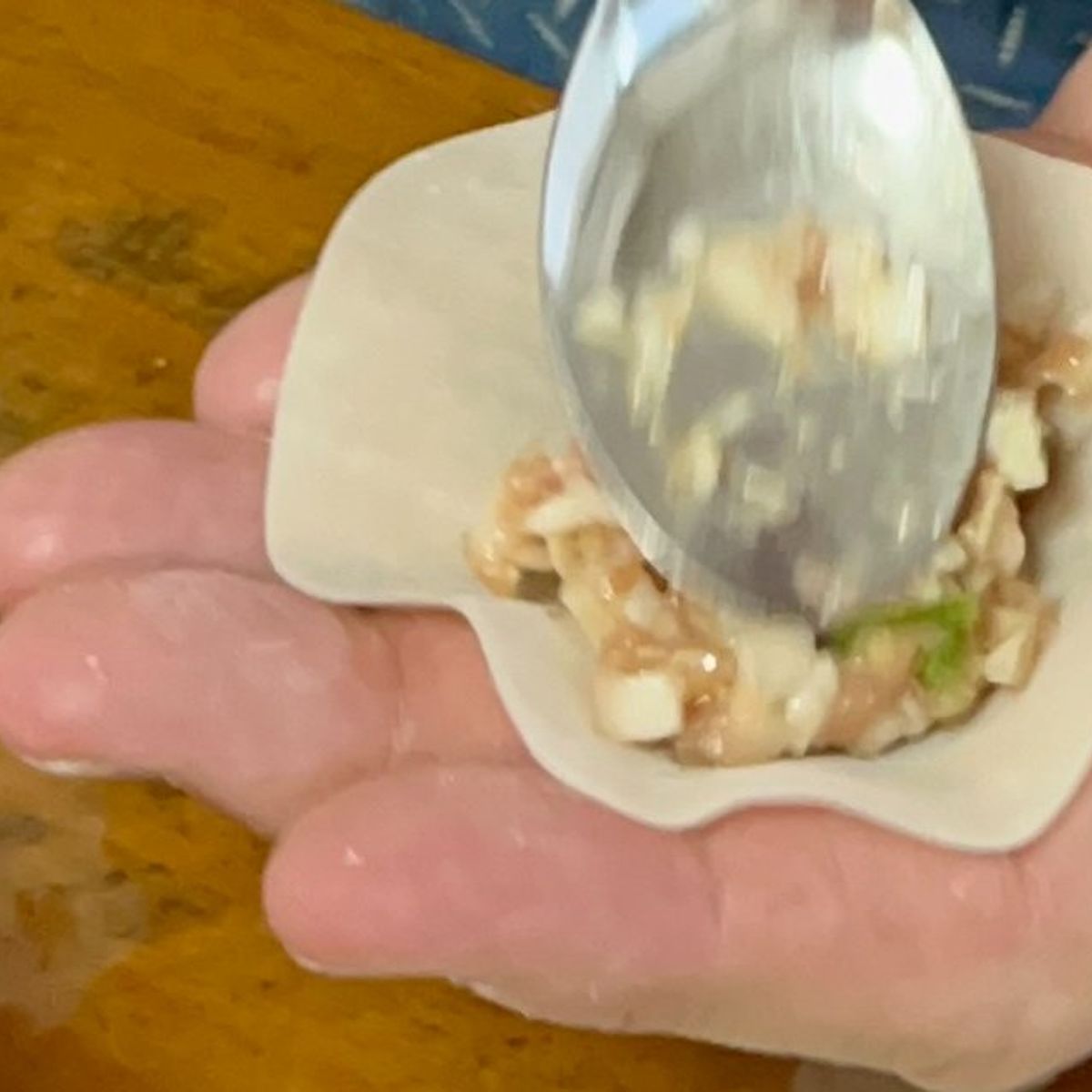 The Art of Making Homemade Japanese Gyoza Class in Nagoya