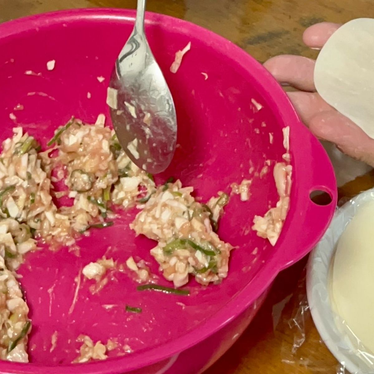The Art of Making Homemade Japanese Gyoza Class in Nagoya
