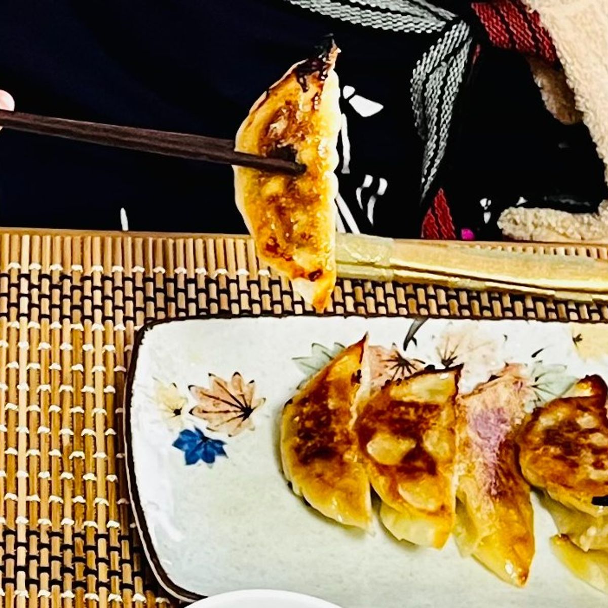 The Art of Making Homemade Japanese Gyoza Class in Nagoya