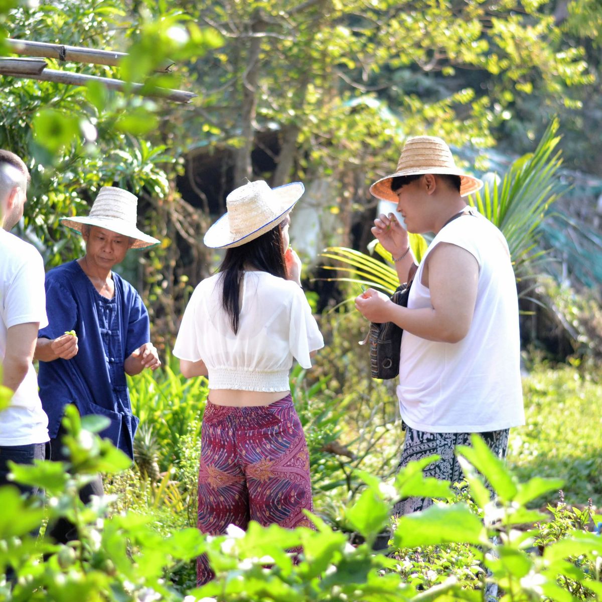 Da's Organic Farm Hut Thai Cooking school