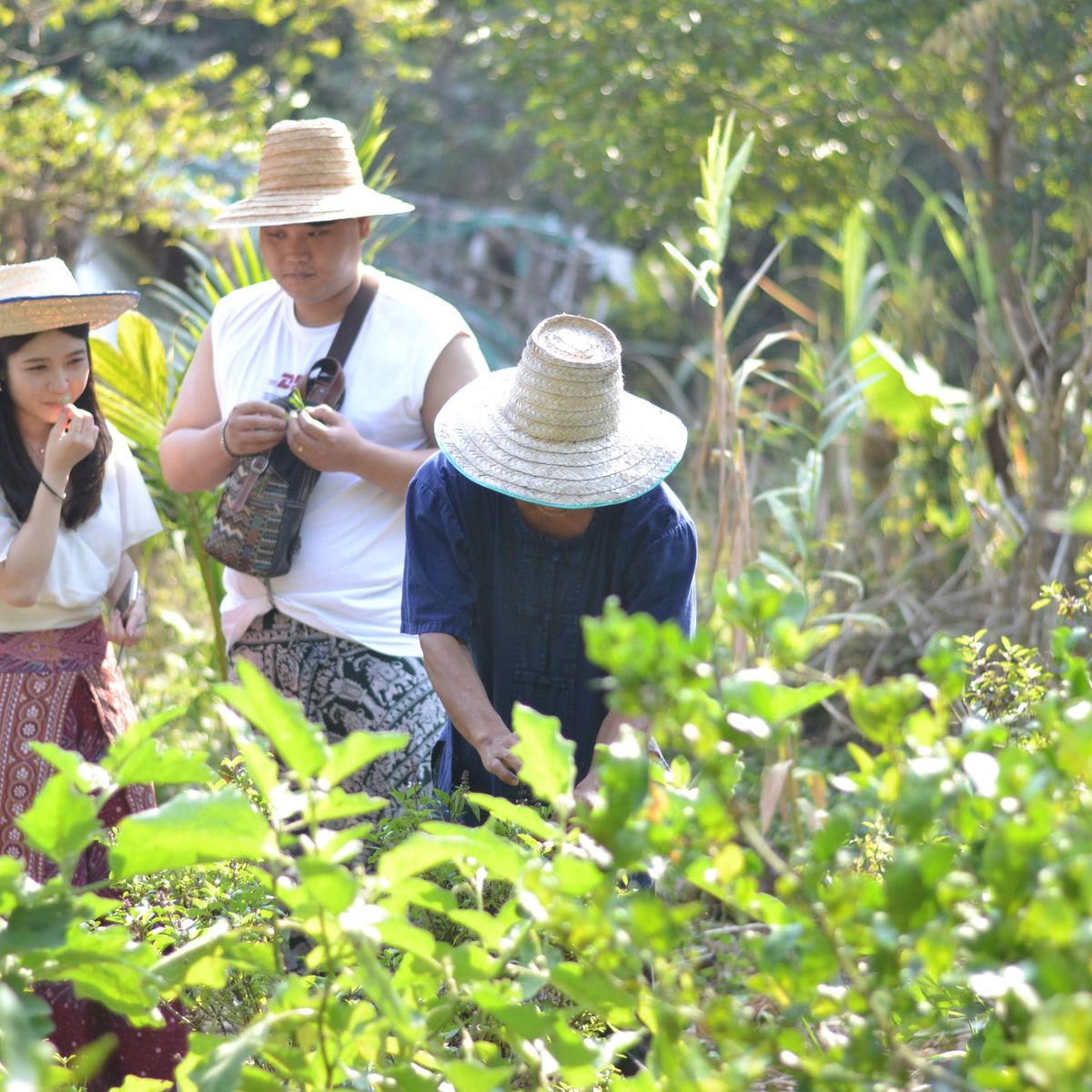 다아저씨와 즐기는 시장투어와 유기농 재료를 이용한 요리(Da's Organic Farm Hut Thai Cooking school)