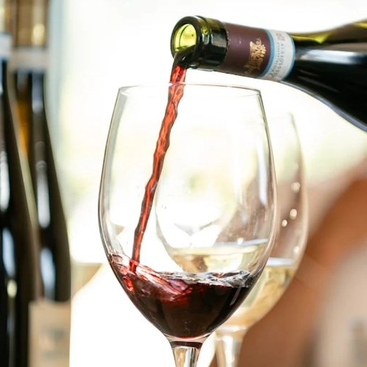 Cook Pasta & Sip Wine: A Half-Day Experience in Ischia
