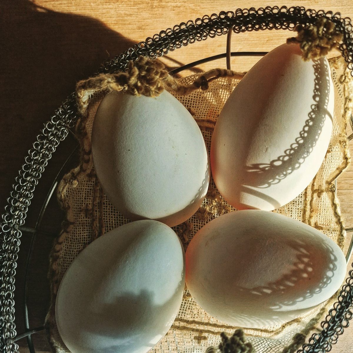 Handmade Ancient Pasta Culinary Class in a Tuscan Farmhouse
