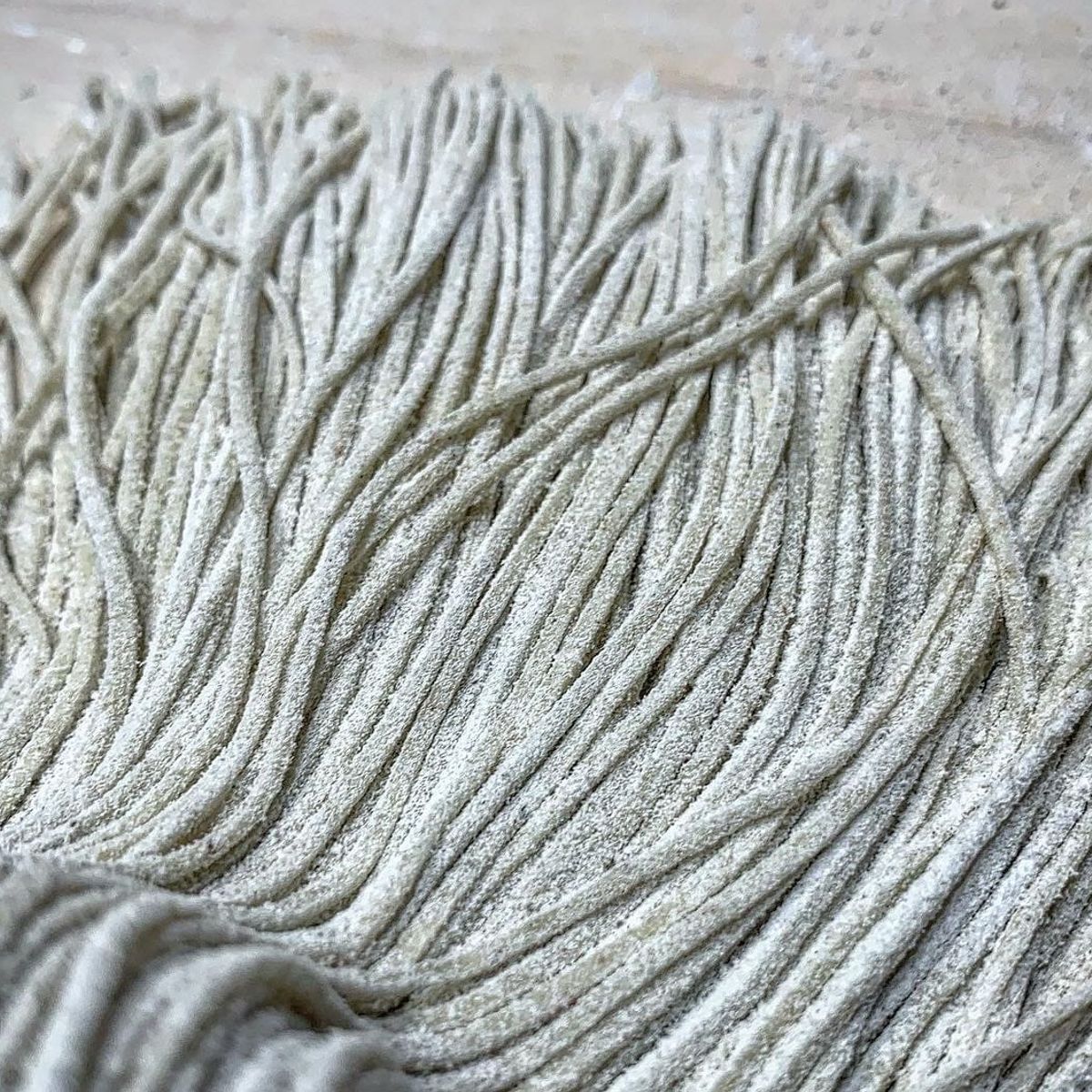 Handmade Soba Noodle & Tempura Class with Professional Chef