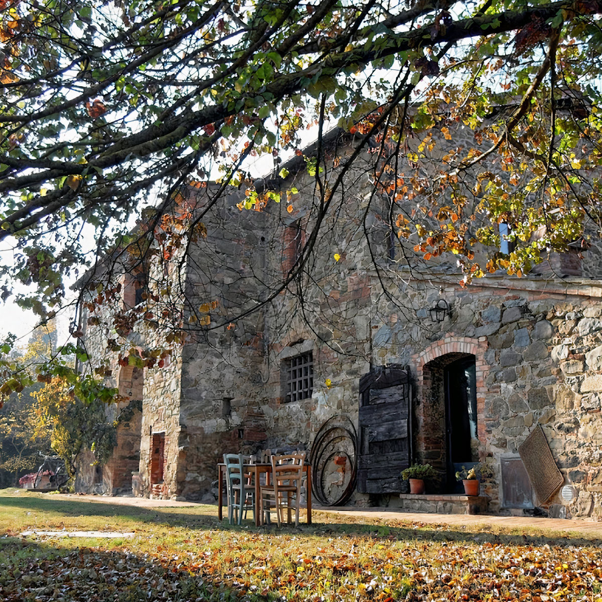 Handmade Ancient Pasta Culinary Class in a Tuscan Farmhouse