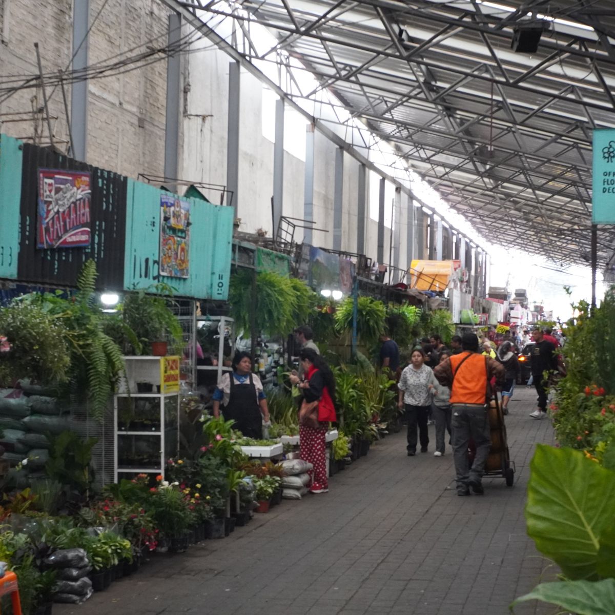 Market to Table: Mexican Cooking & Culture Experience