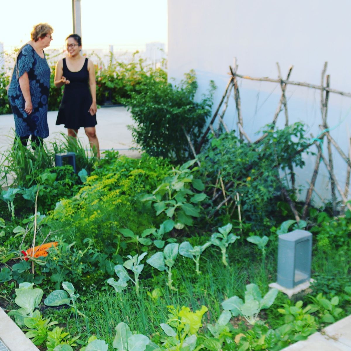 Hands on Cooking Class with Lily & Friends and Explore Local Neighborhoods