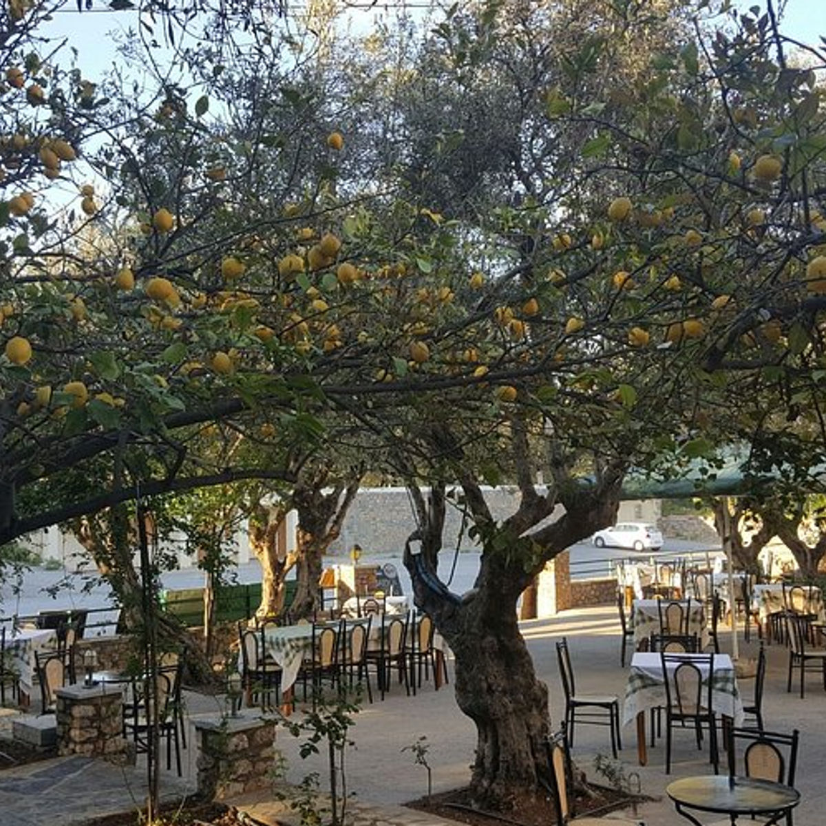 Hands-On Traditional Cretan Cooking Experience in Kritsa