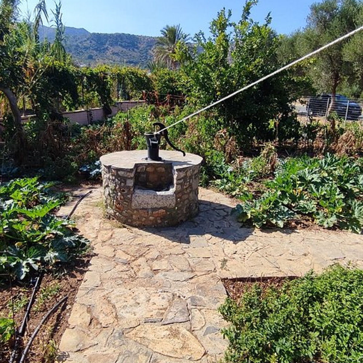 Hands-On Traditional Cretan Cooking Experience in Kritsa