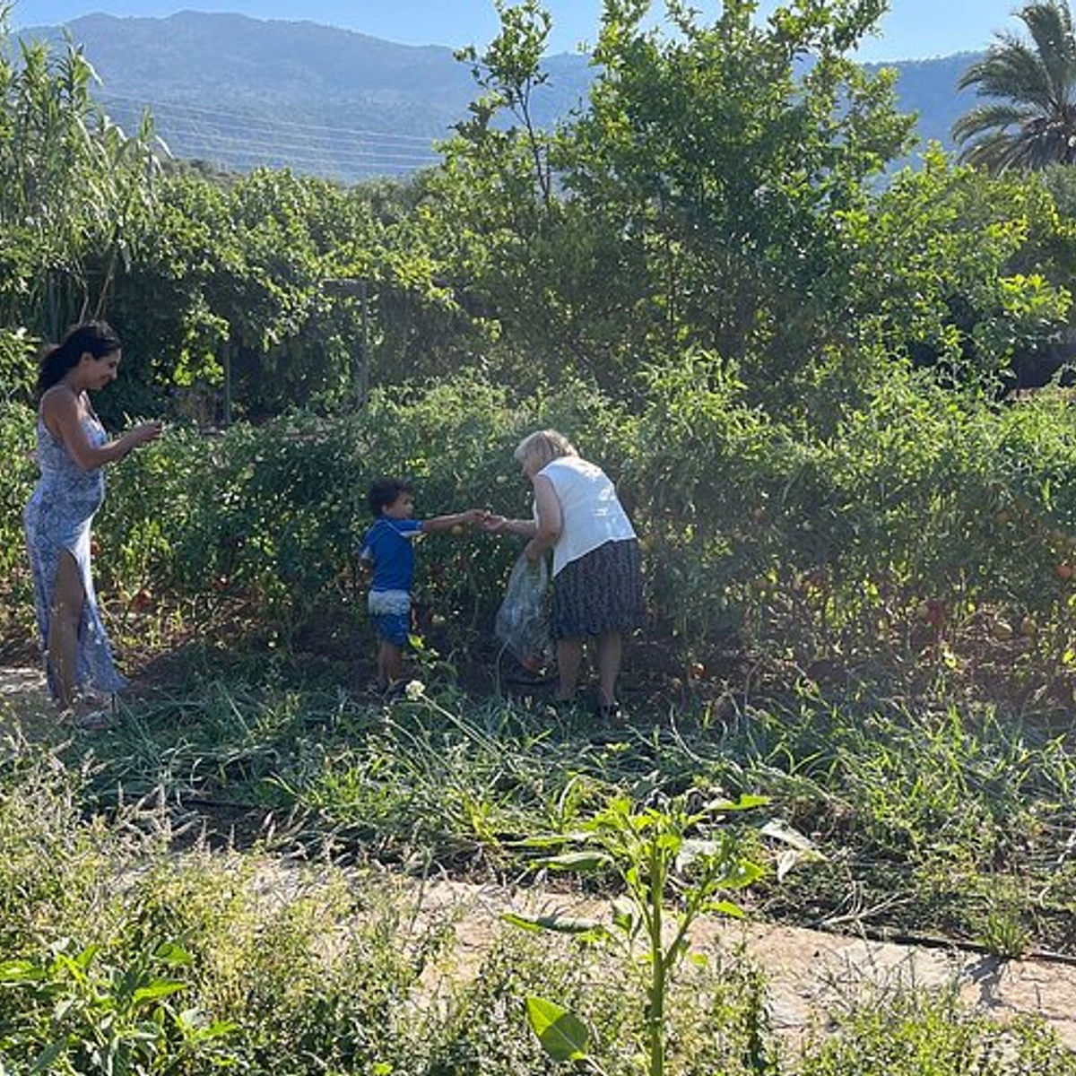 Hands-On Traditional Cretan Cooking Experience in Kritsa