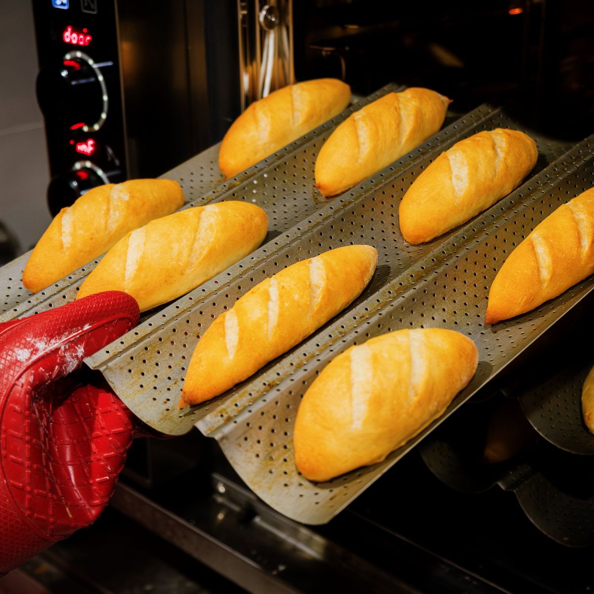 Hanoi Bánh Mì & Coffee Experience: A Taste of French Culinary Heritage