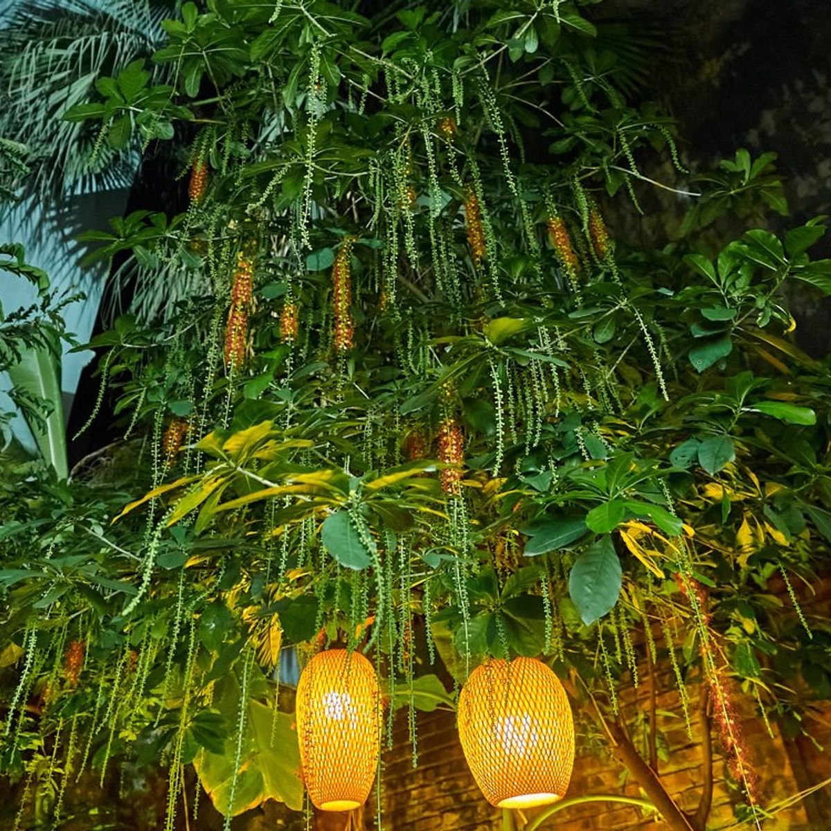 Hanoi Culinary Experience: Make Phở & Bánh Xèo with Free Vietnamese Coffee