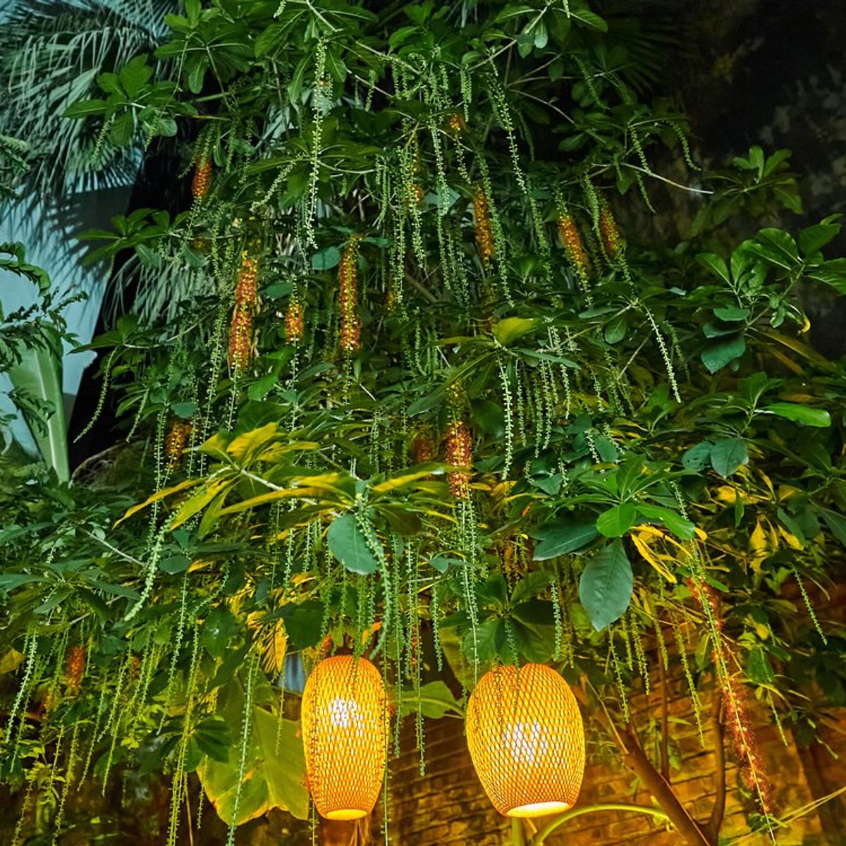 Hanoi by Night: Food, Culture and Flag Ceremony Experience