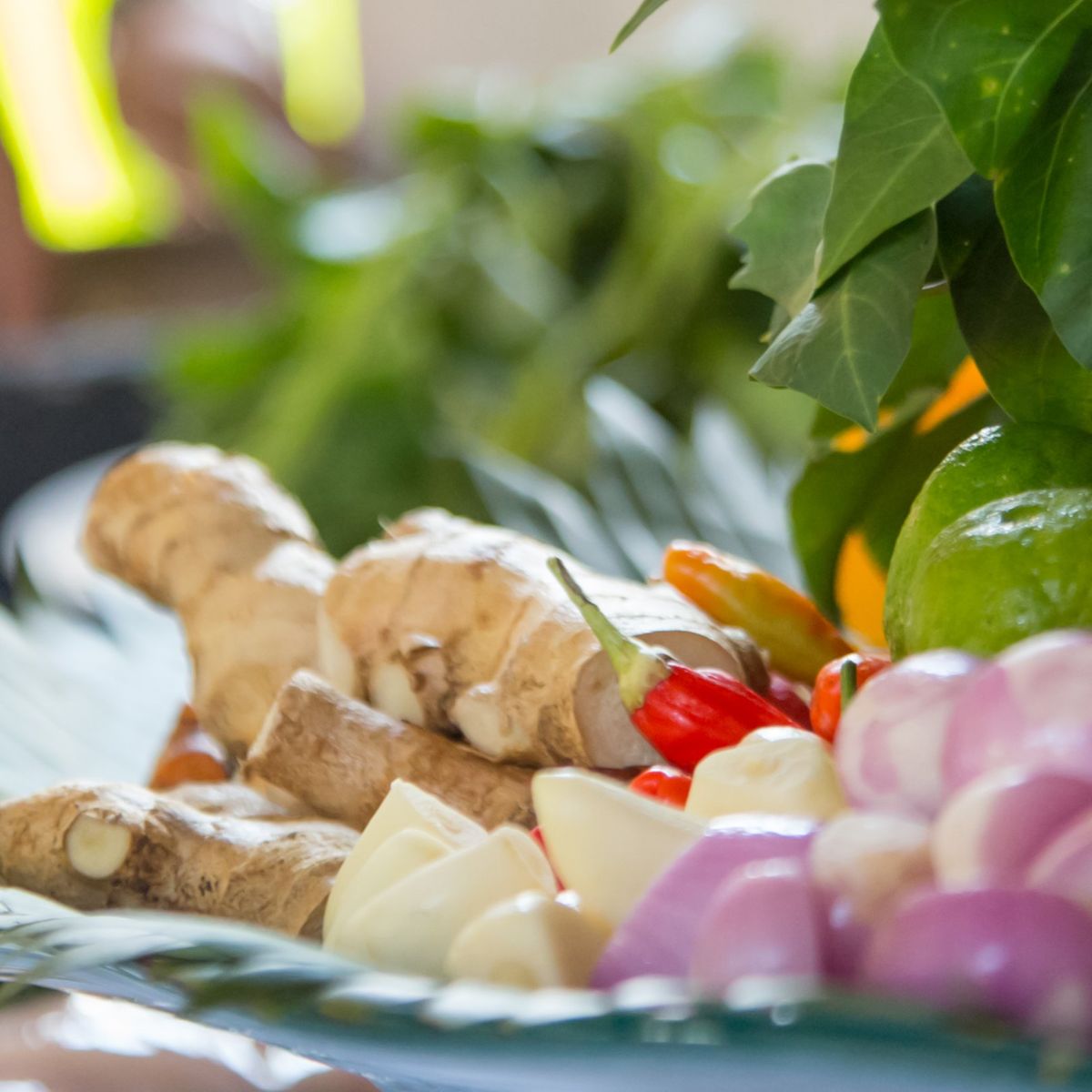 Private Cooking Class with Garden and Market Tour in a Tranquil Resort