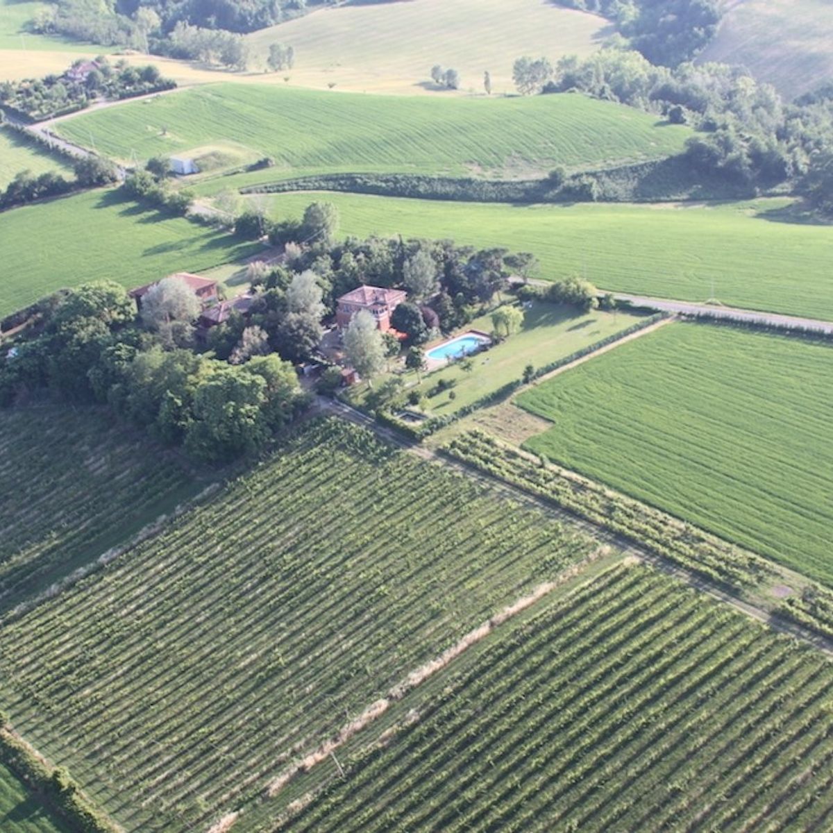Heritage of the Hunting Lodge: Wild Boar Cuisine Experience at Villa degli Olmi
