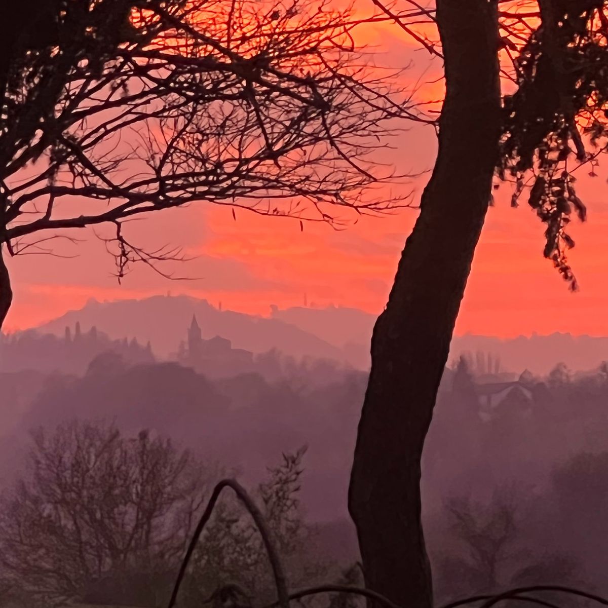 Heritage of the Hunting Lodge: Wild Boar Cuisine Experience at Villa degli Olmi