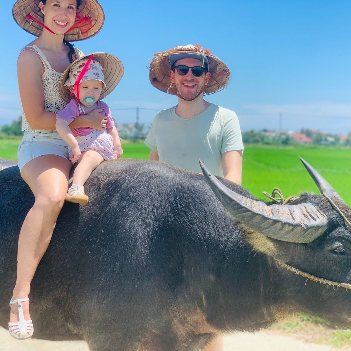 Hoi An Countryside Bike, Riding Buffalo and Basket Boat with Meal