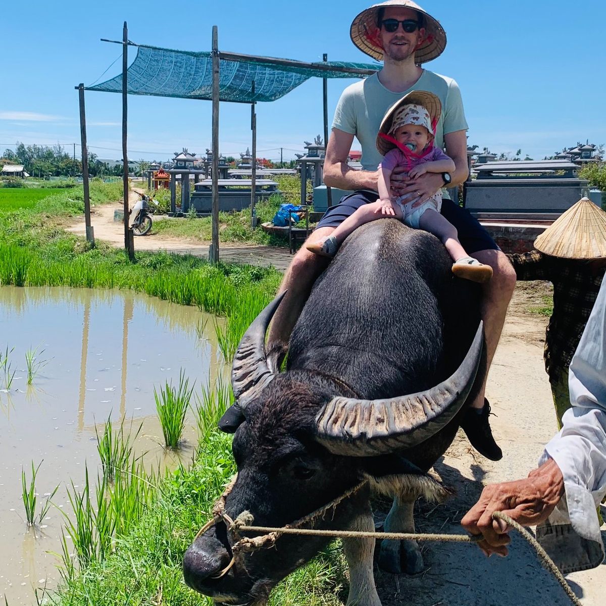 Hoi An Countryside Bike, Riding Buffalo and Basket Boat with Meal