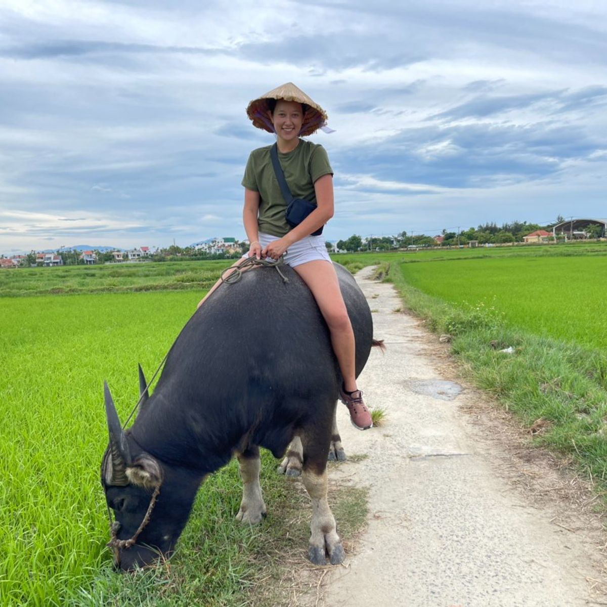 Hoi An Countryside Bike, Riding Buffalo and Basket Boat with Meal