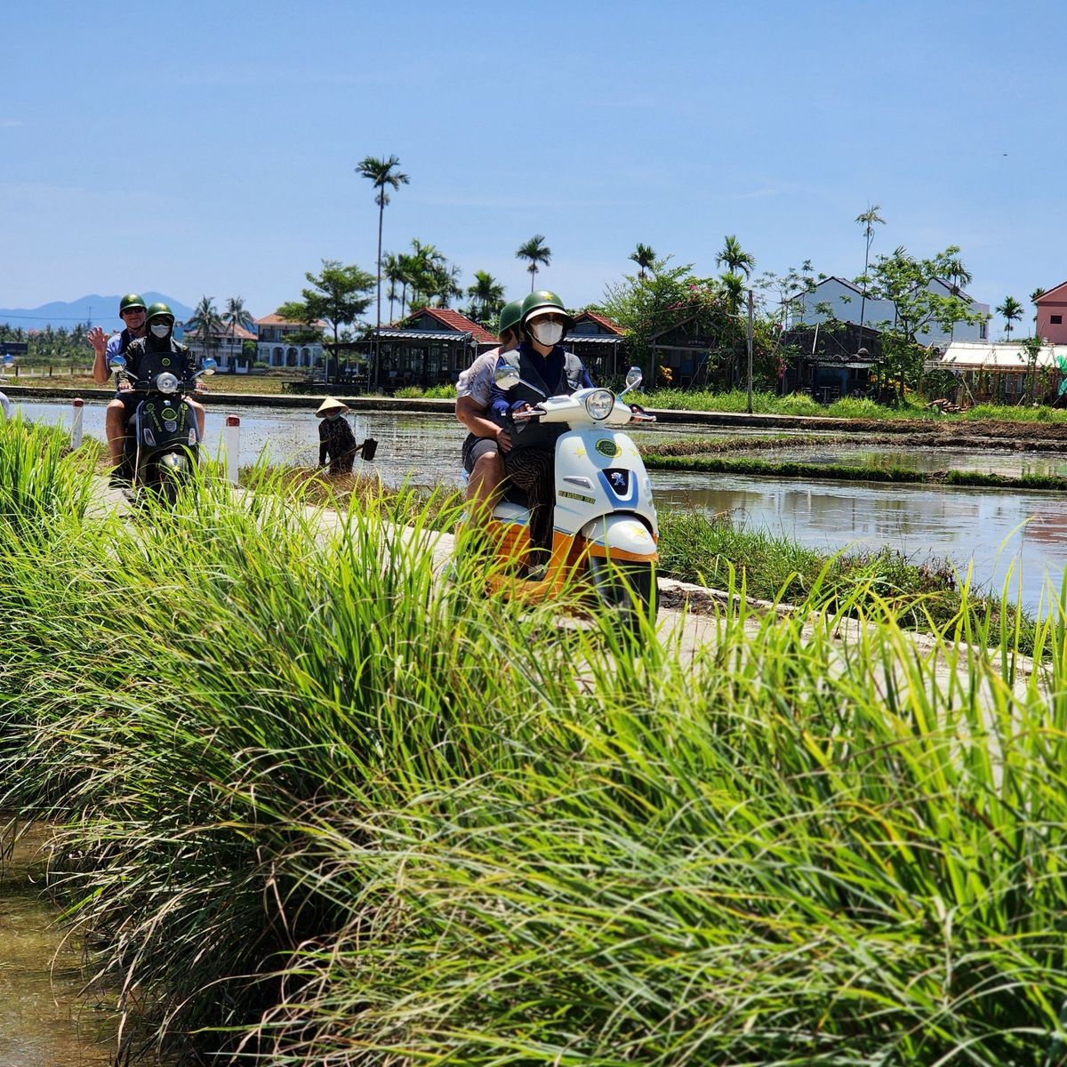 Hoi An Vespa Culinary Journey – Market Tour, Village Visit & Cooking Class
