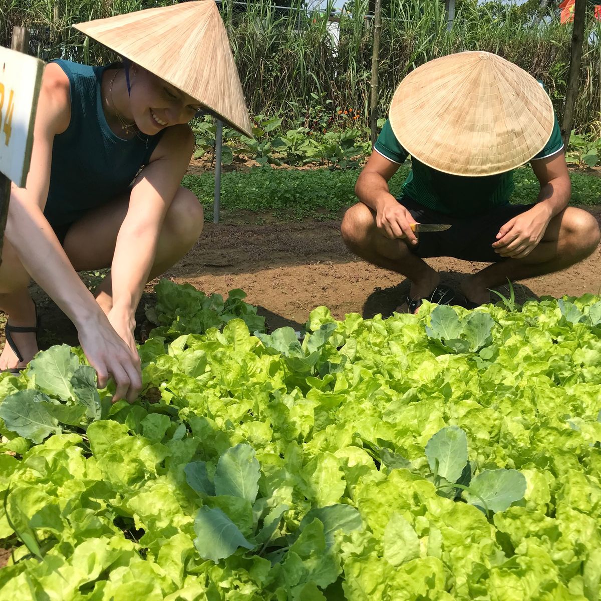 Experience Rural Life and Cooking at Organic Farm in Hoi An