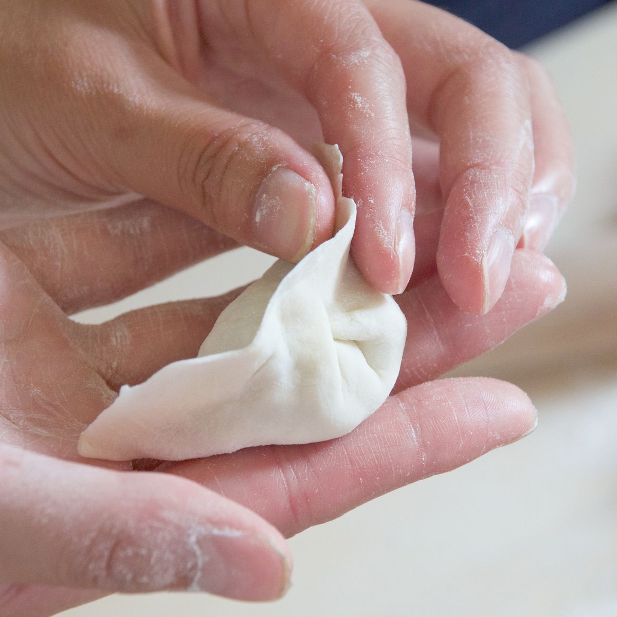 Home-Style Dumpling Class With Market Tour