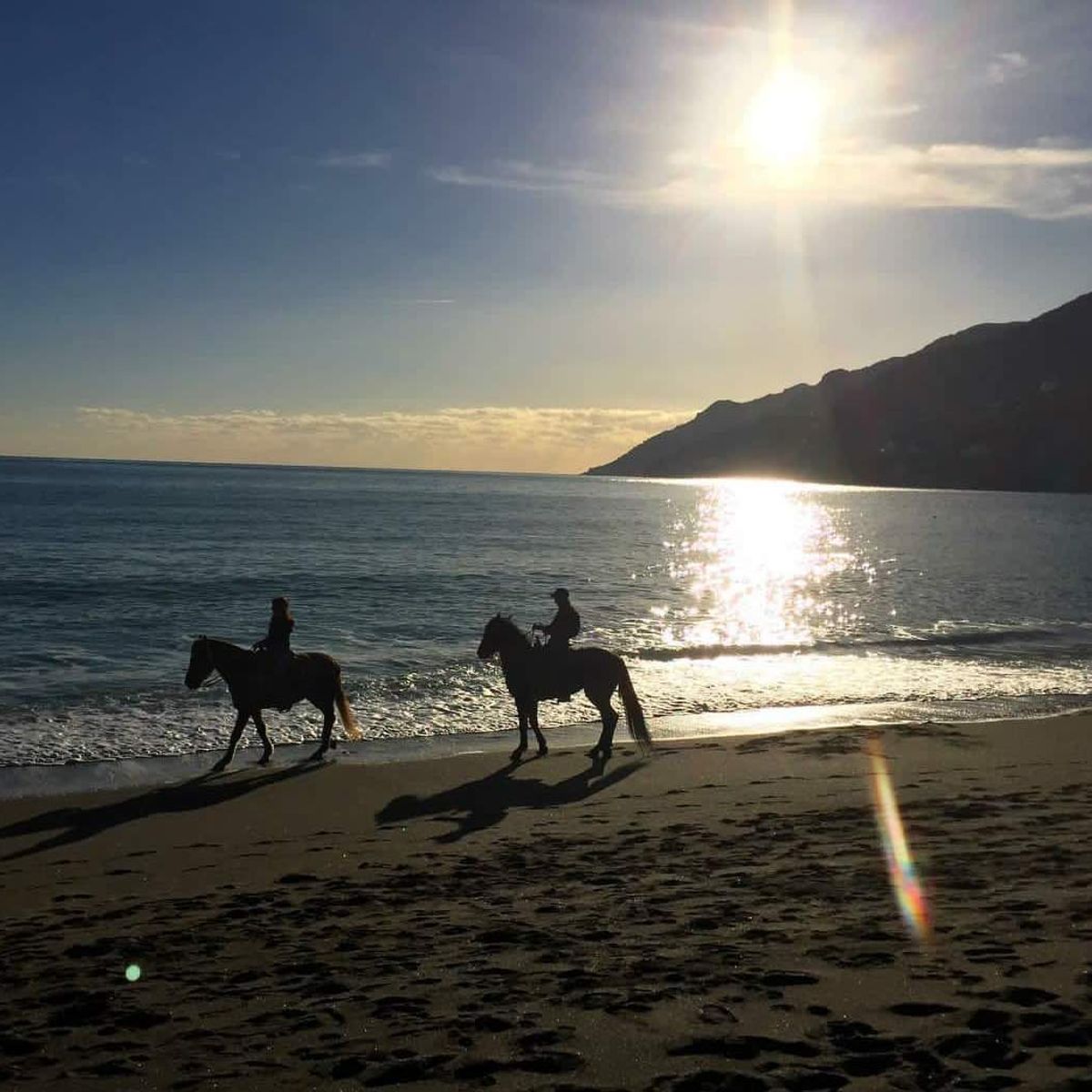 Horseback Riding + Lemon Grove Tour on the Amalfi Coast