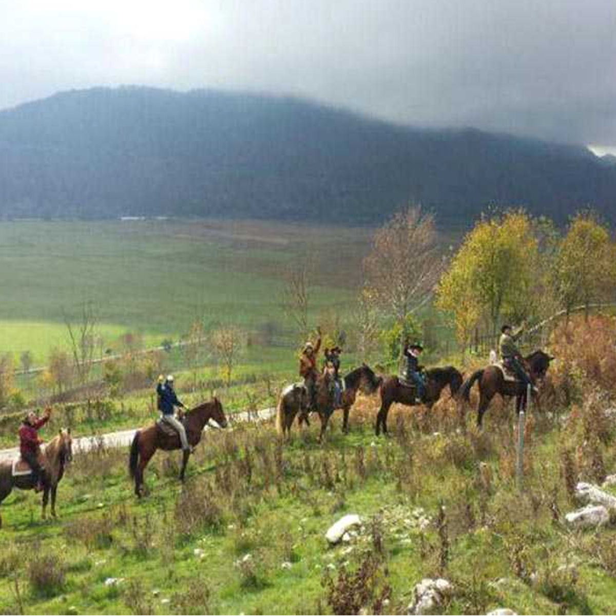 Horseback Riding + Lemon Grove Tour on the Amalfi Coast