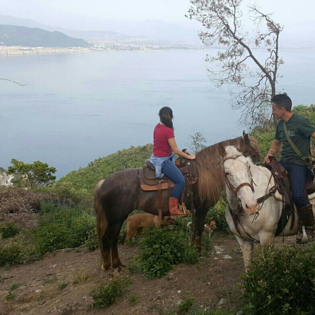 Horseback Riding Tour + Pasta Making Class on the Amalfi Coast