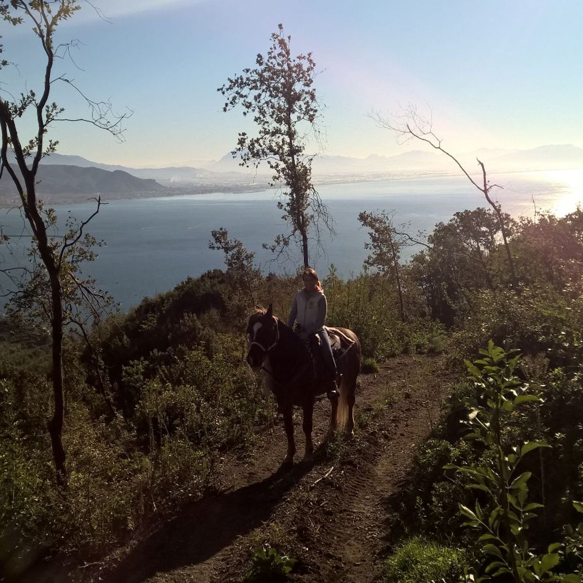 Horseback Riding Tour + Pasta Making Class on the Amalfi Coast