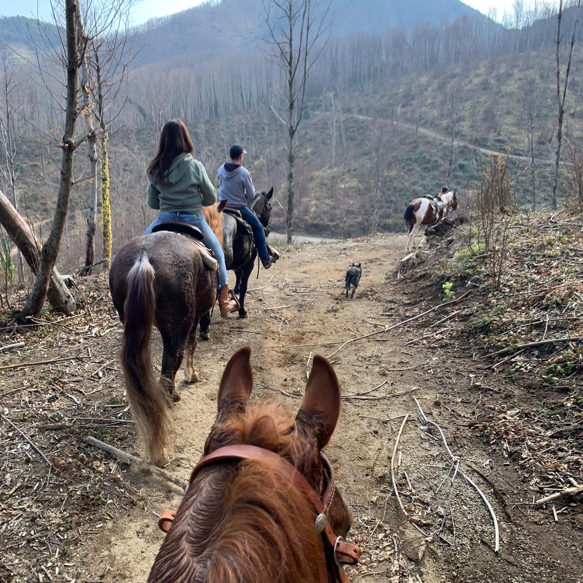 Horseback Riding Tour + Pasta Making Class on the Amalfi Coast