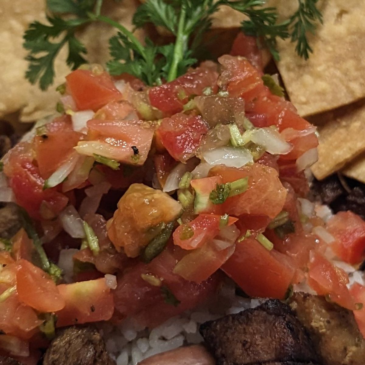 A Journey Through Coastal Delights in Puerto Viejo