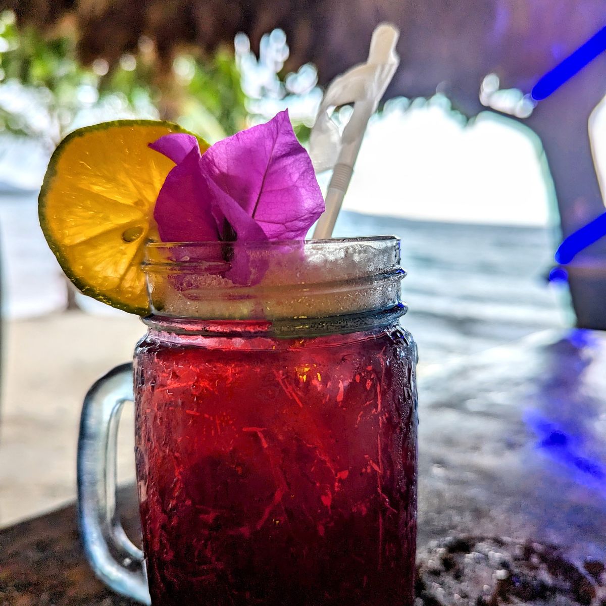 A Journey Through Coastal Delights in Puerto Viejo