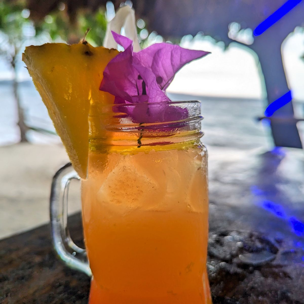 A Journey Through Coastal Delights in Puerto Viejo
