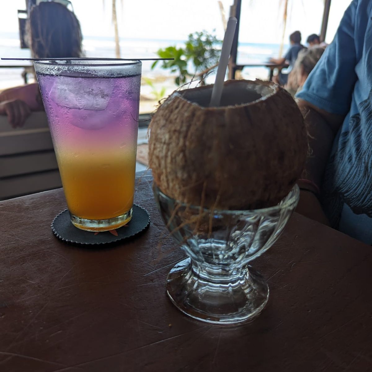 A Journey Through Coastal Delights in Puerto Viejo
