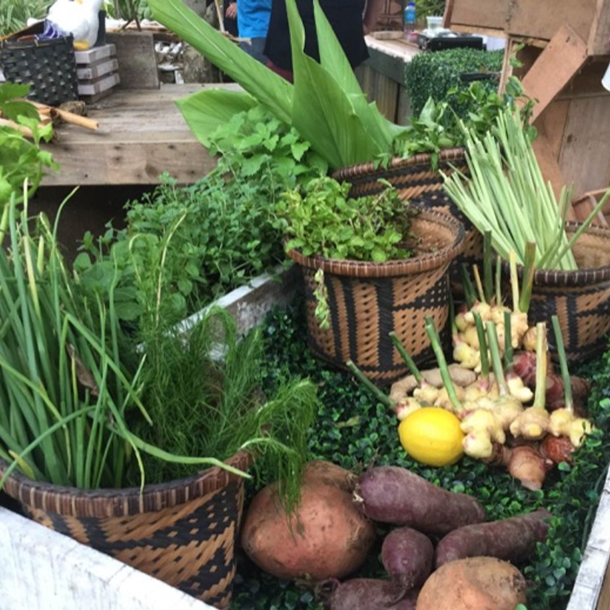 Indigenous Home Cooking Class at Farmstay with Market Tour
