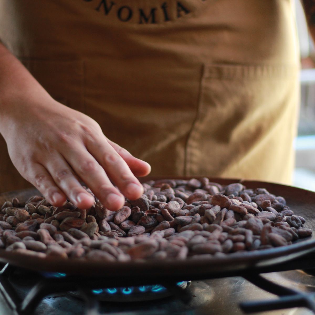 Indulge in a Unique Chocolate Workshop Experience