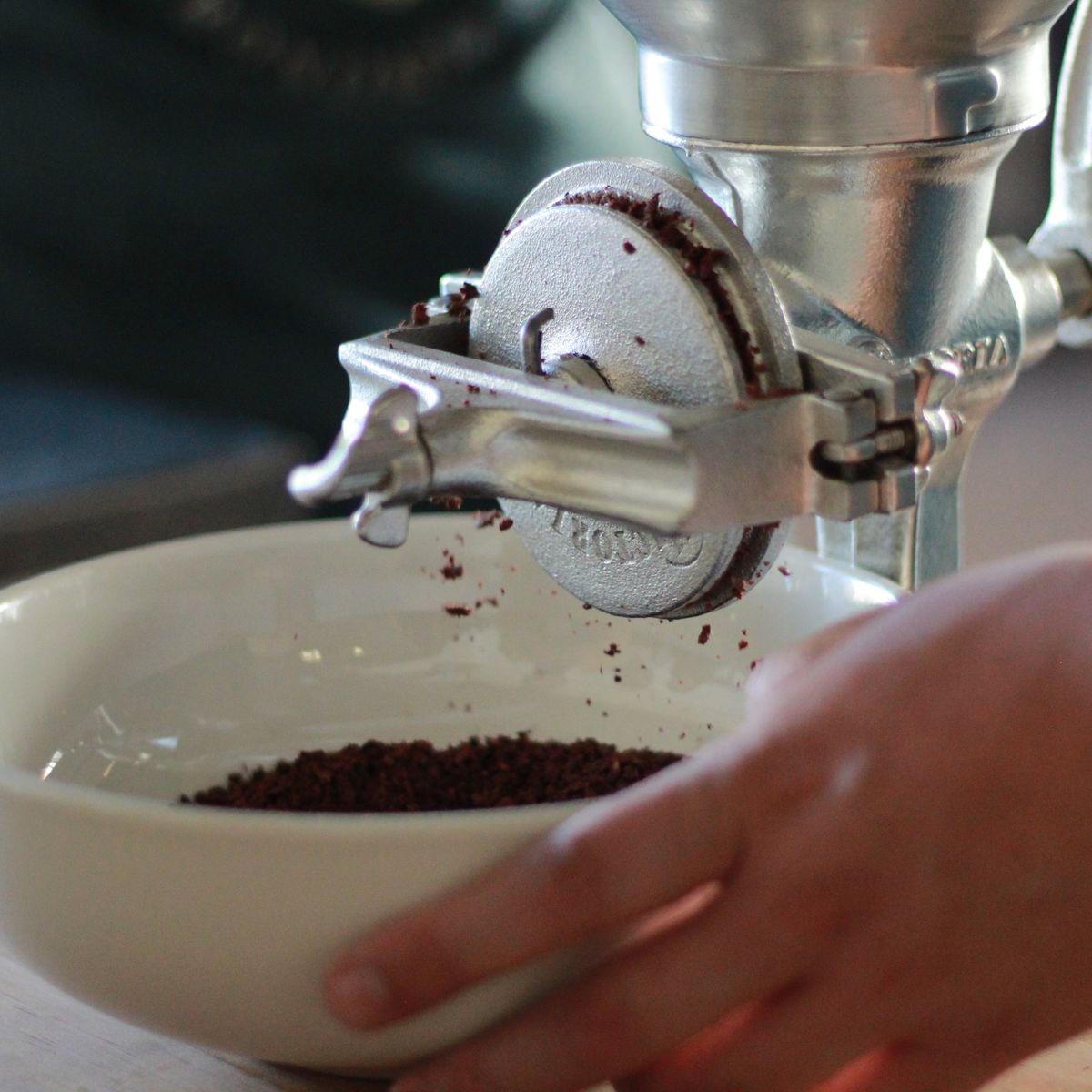 Indulge in a Unique Chocolate Workshop Experience