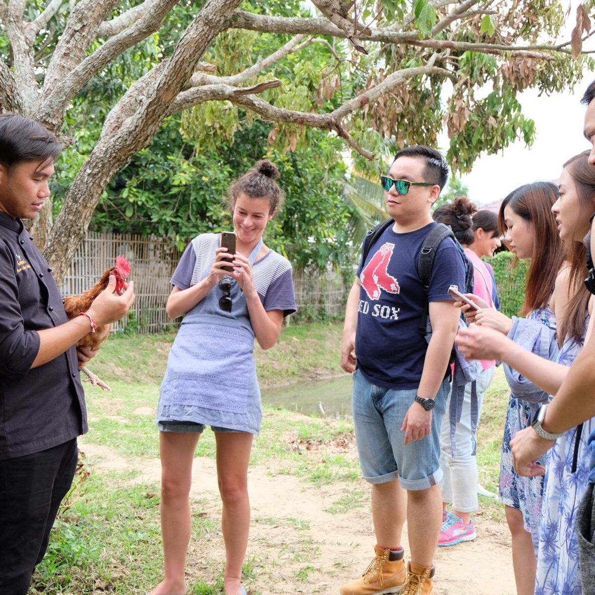 Indulge in Authentic Thai Flavors in Serene Organic Farm