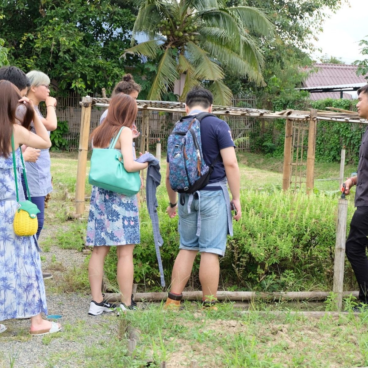 Indulge in Authentic Thai Flavors in Serene Organic Farm